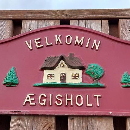 Aegisholt Privete House With Hot Tub Apartman Patreksfjordur Kültér fotó
